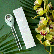 On a green background is a blue moisture meter with two silver metal points to insert into the plant's dirt to determine its moisture levels.