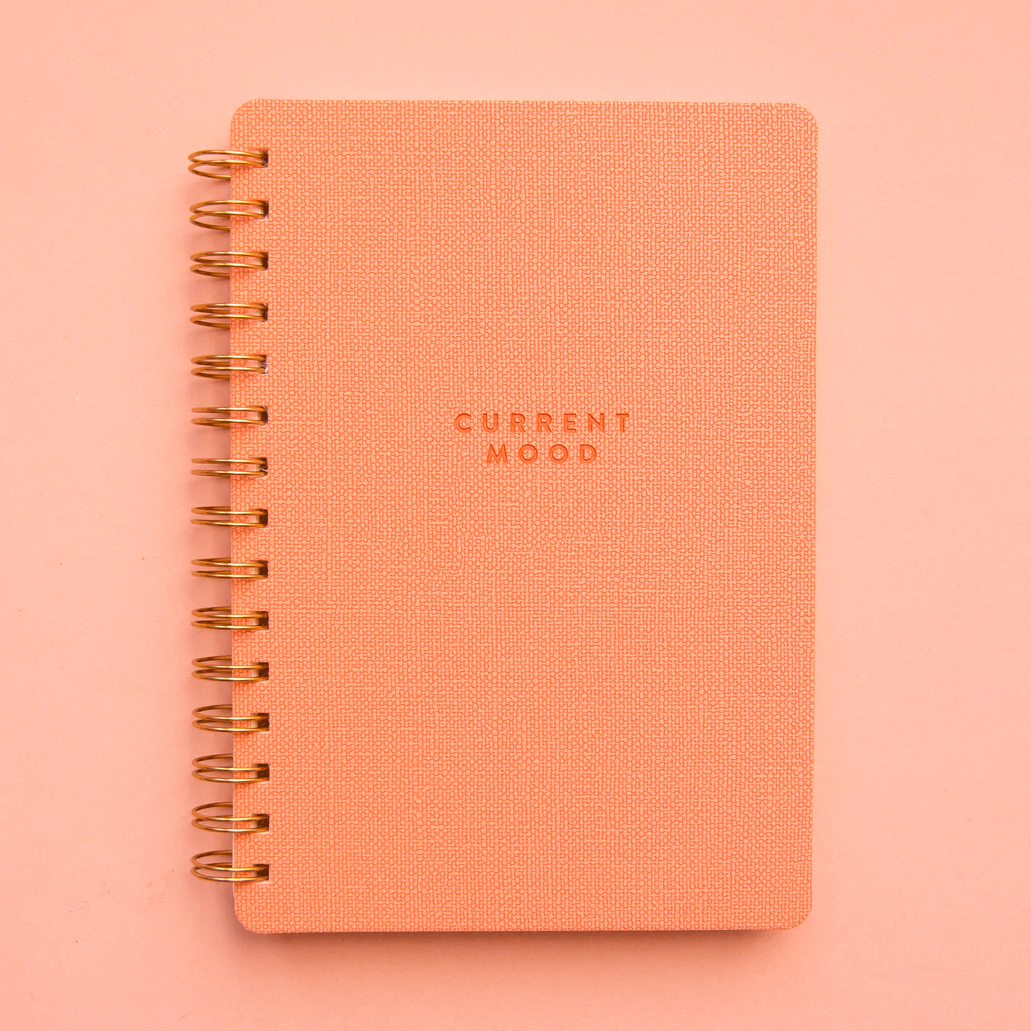 On a light pink background is a coral spiral bound notebook with a coral cover and text in the center that reads, &quot;Current Mood&quot;. 