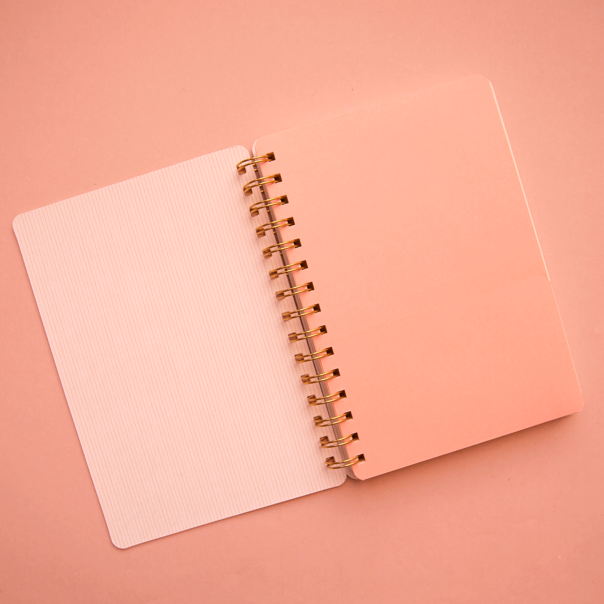 On a light pink background is a coral spiral bound notebook with a coral cover and text in the center that reads, &quot;Current Mood&quot; and a pink and white striped pattern on the interior cover. 