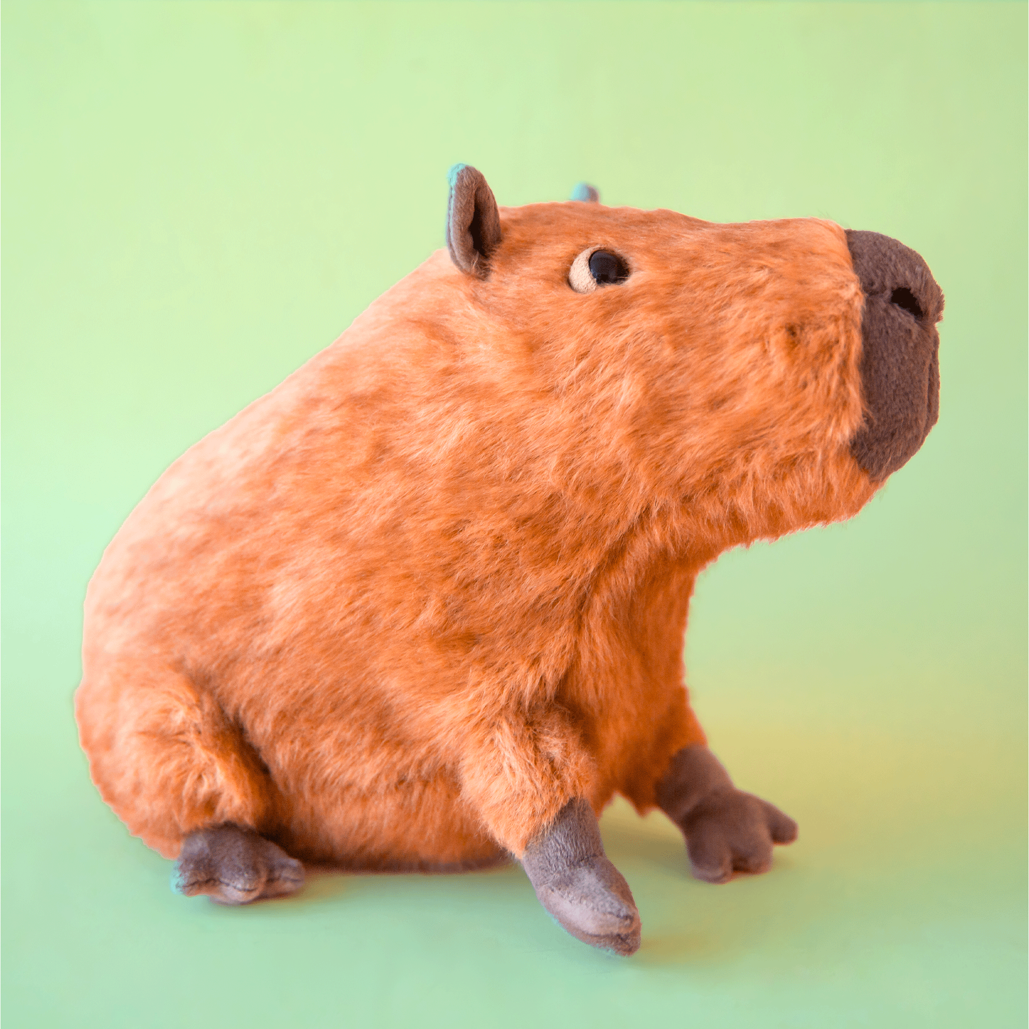 On a green background is a brown capybara shaped stuffed animal toy. 