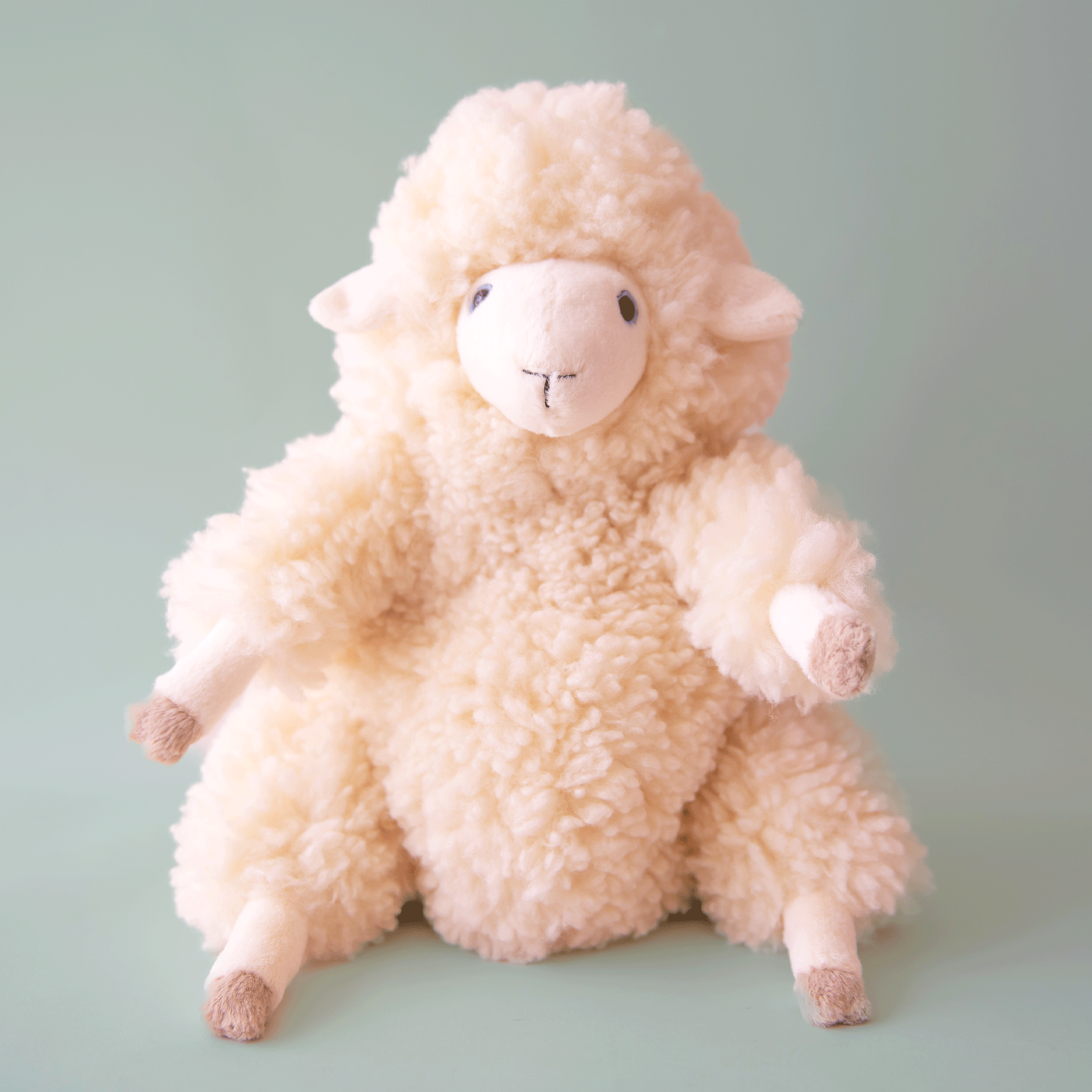 On a blue background is an ivory fluffy sheep stuffed animal toy.