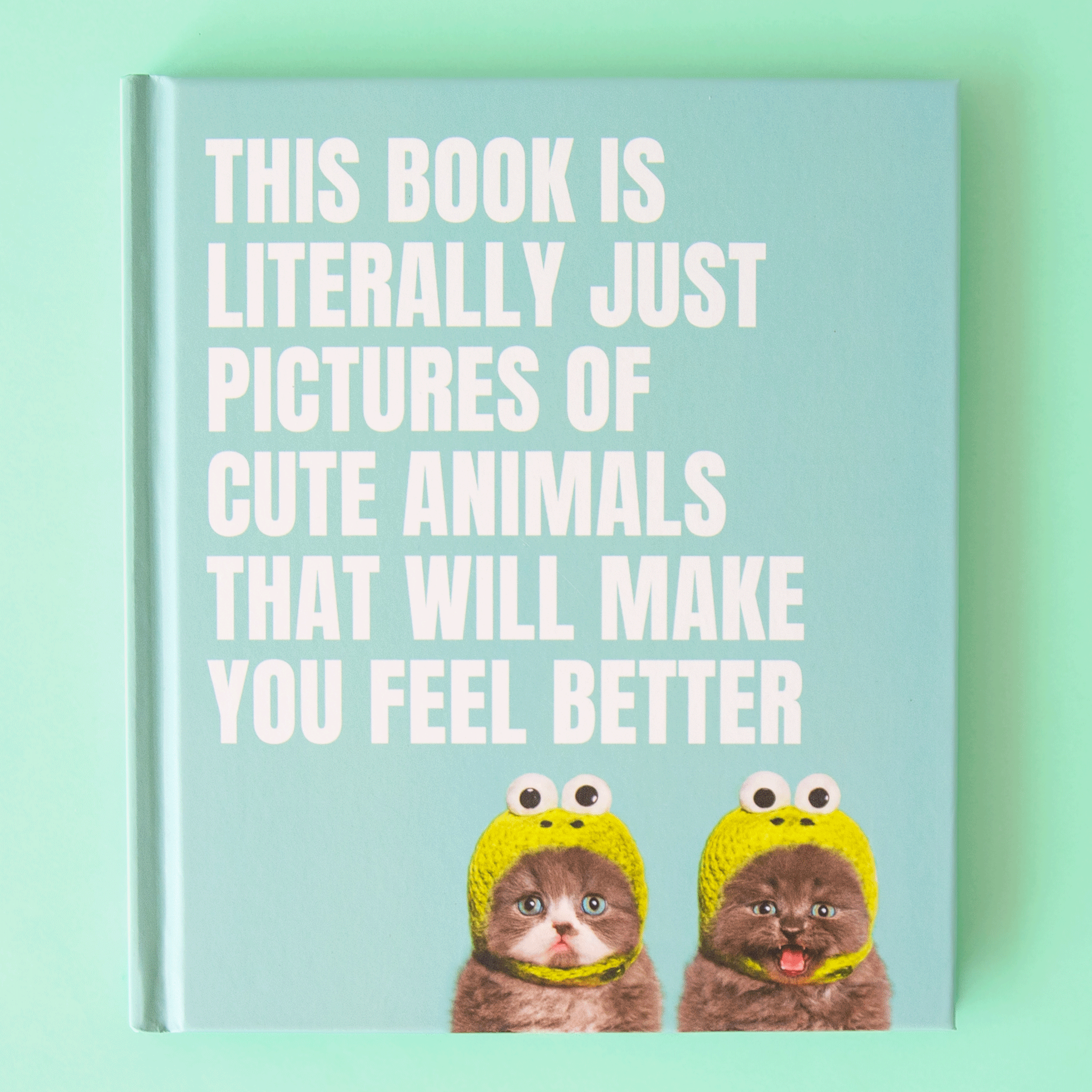 On a green background is a blue book cover with two small grey kittens and white text that reads, &quot;This Book Is Literally Just Pictures Of Cute Animals That Will Make You Feel Better&quot;.