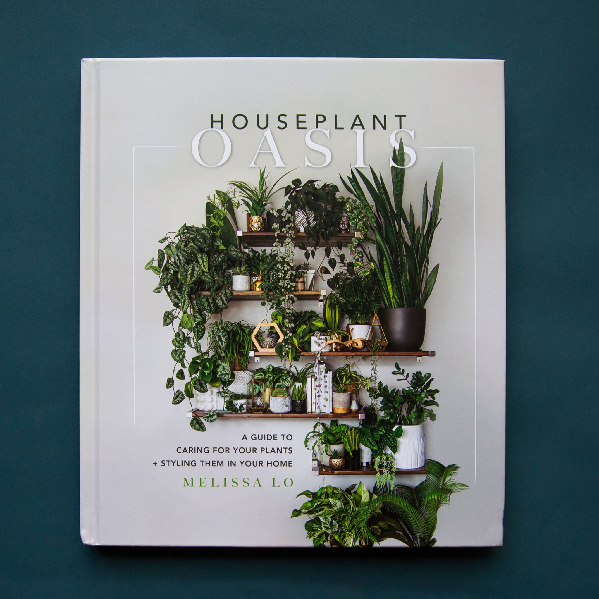 On a blue background is a light grey book cover with a photograph of various houseplants on shelves and the title at the top that reads, "Houseplant Oasis" in black and white letters.