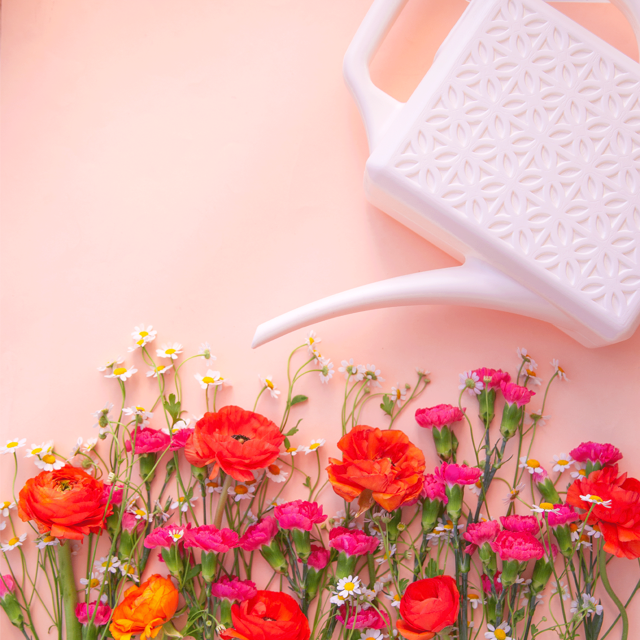 On a light pink background is a white watering can with a long spout and a breeze block design on the side.