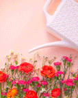 On a light pink background is a white watering can with a long spout and a breeze block design on the side.