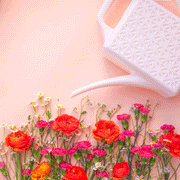 On a light pink background is a white watering can with a long spout and a breeze block design on the side.