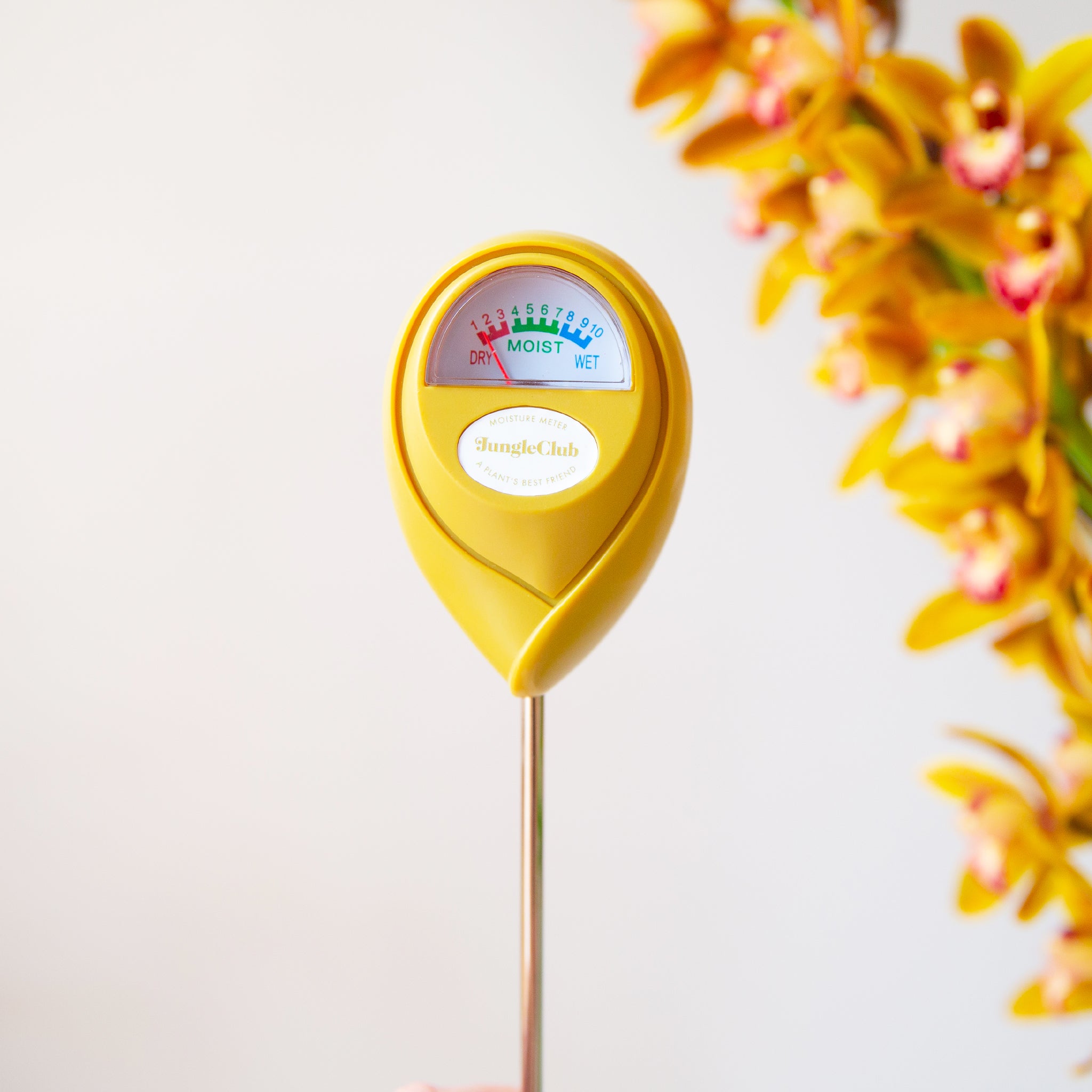 A chartreuse moisture meter with a rounded head and a white meter that ranges from dry, moist, or wet along with a small oval label in the front that reads, &quot;Jungle Club&quot;.