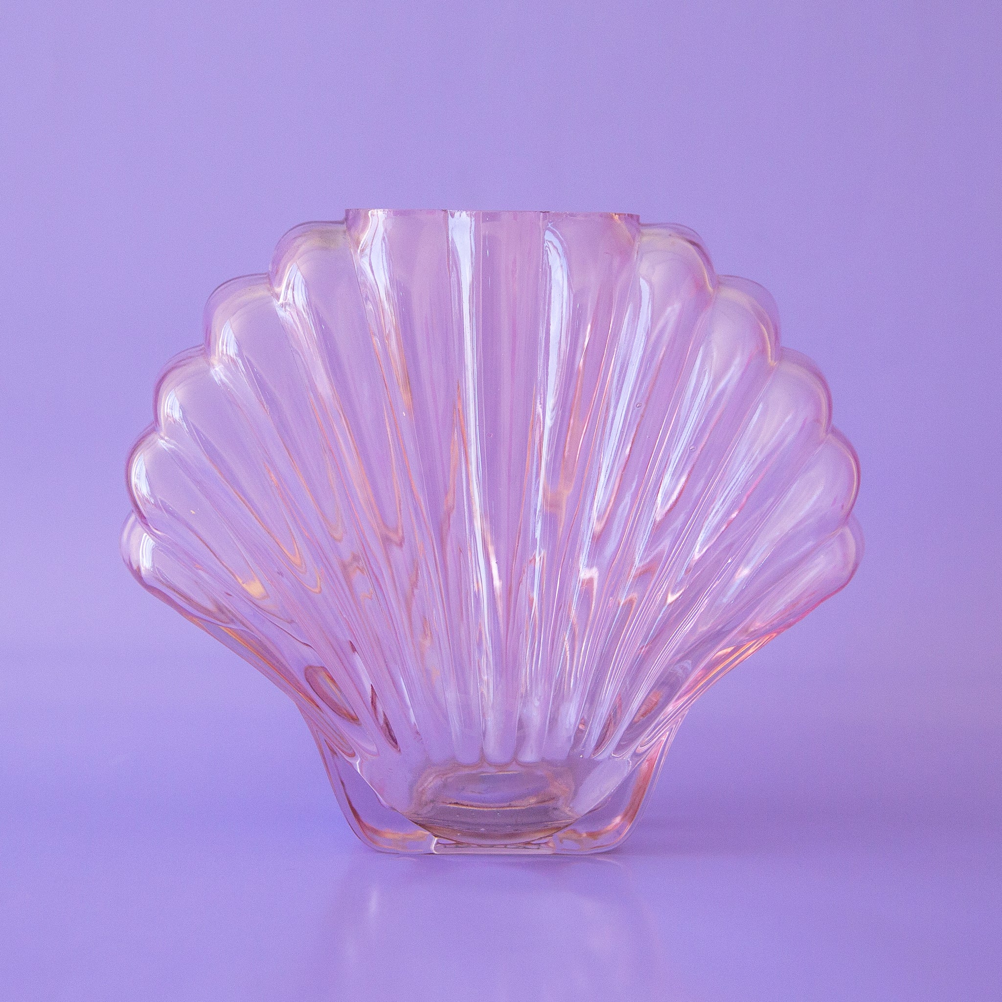 On a purple background is a light pink glass, shell shaped vase
