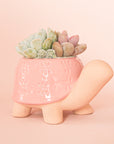On a peachy background is a ceramic planter in the shape of a turtle with a light pink "shell" with a subtle floral print and filled in this photo with various succulents and cacti not included with purchase.