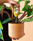 A chartreuse moisture meter with a rounded head and a white meter that ranges from dry, moist, or wet along with a small oval label in the front that reads, "Jungle Club".