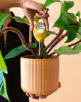 A chartreuse moisture meter with a rounded head and a white meter that ranges from dry, moist, or wet along with a small oval label in the front that reads, "Jungle Club".