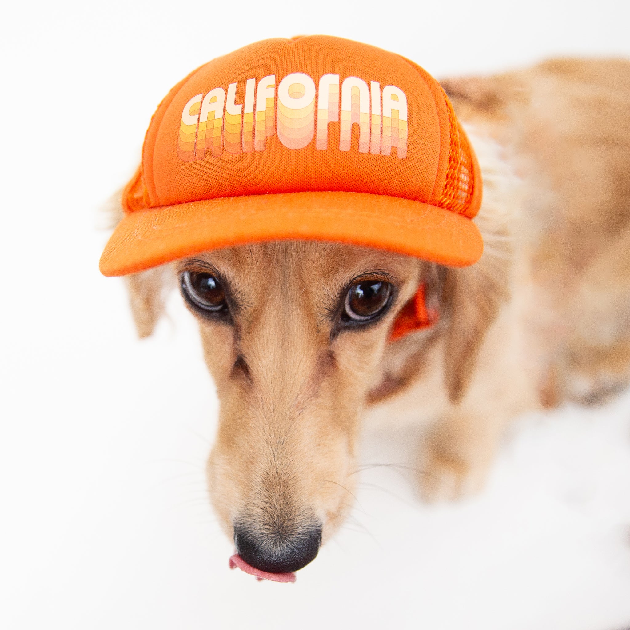An orange puplid hat with white text that reads, "California".