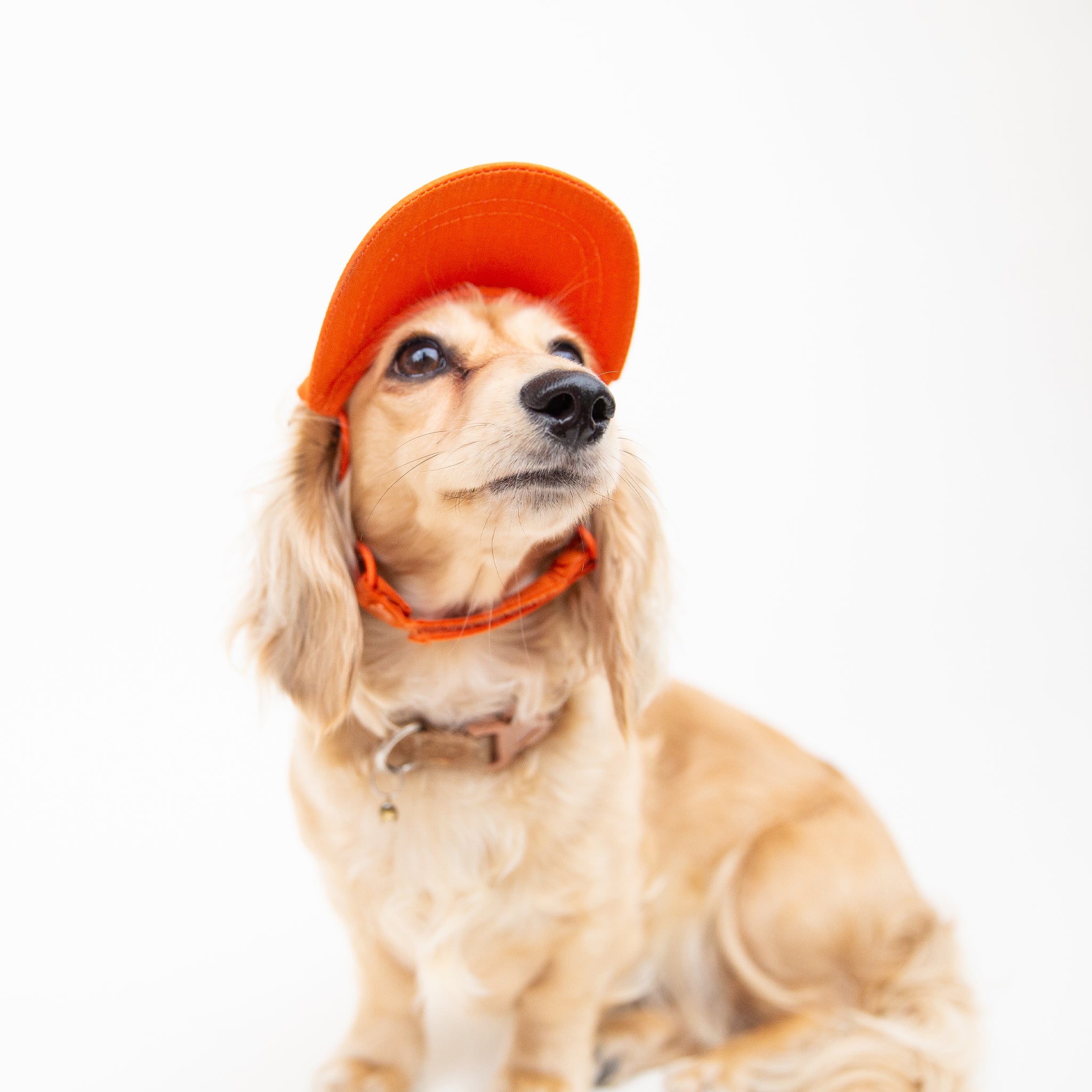 An orange puplid hat with white text that reads, &quot;California&quot;.