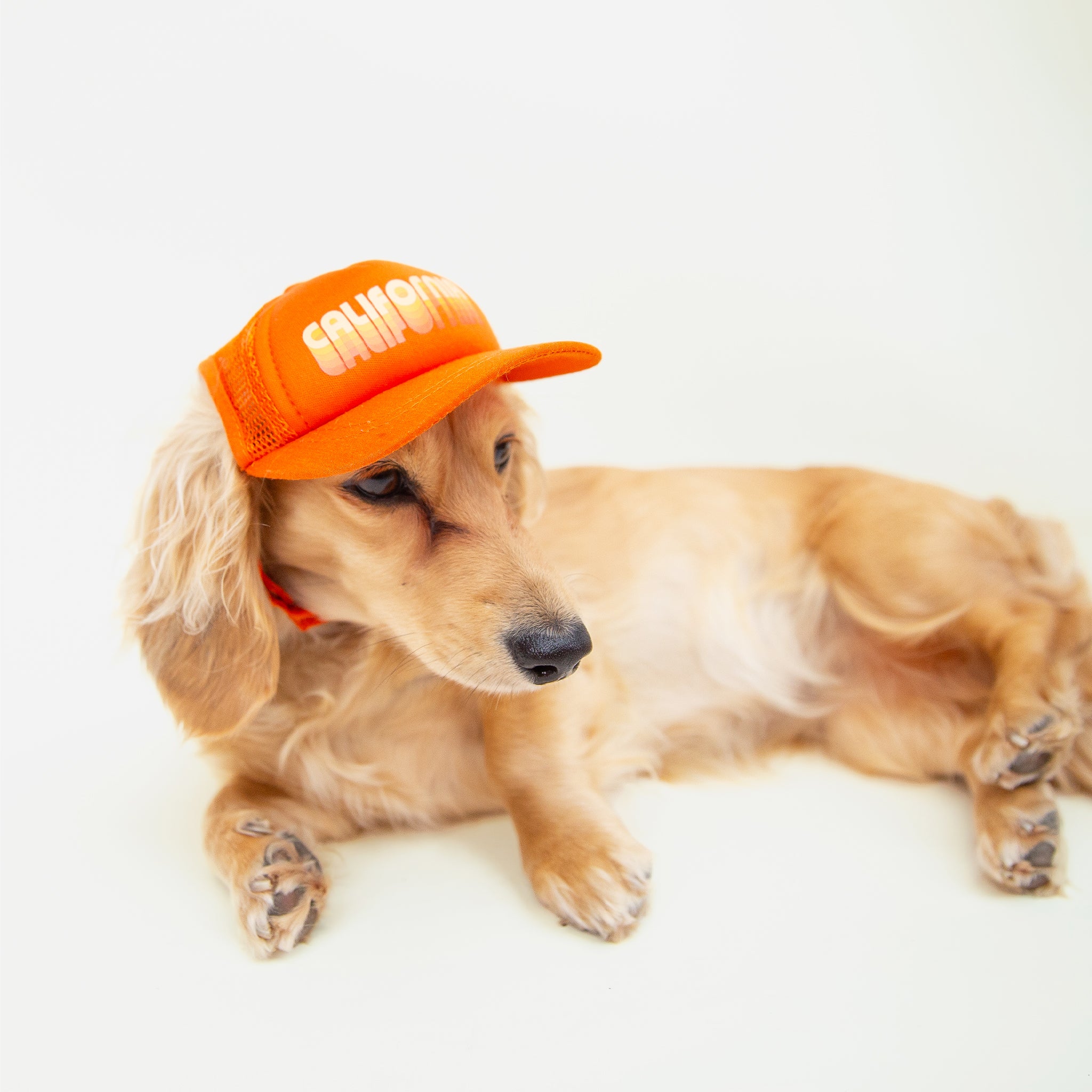 An orange puplid hat with white text that reads, "California". 