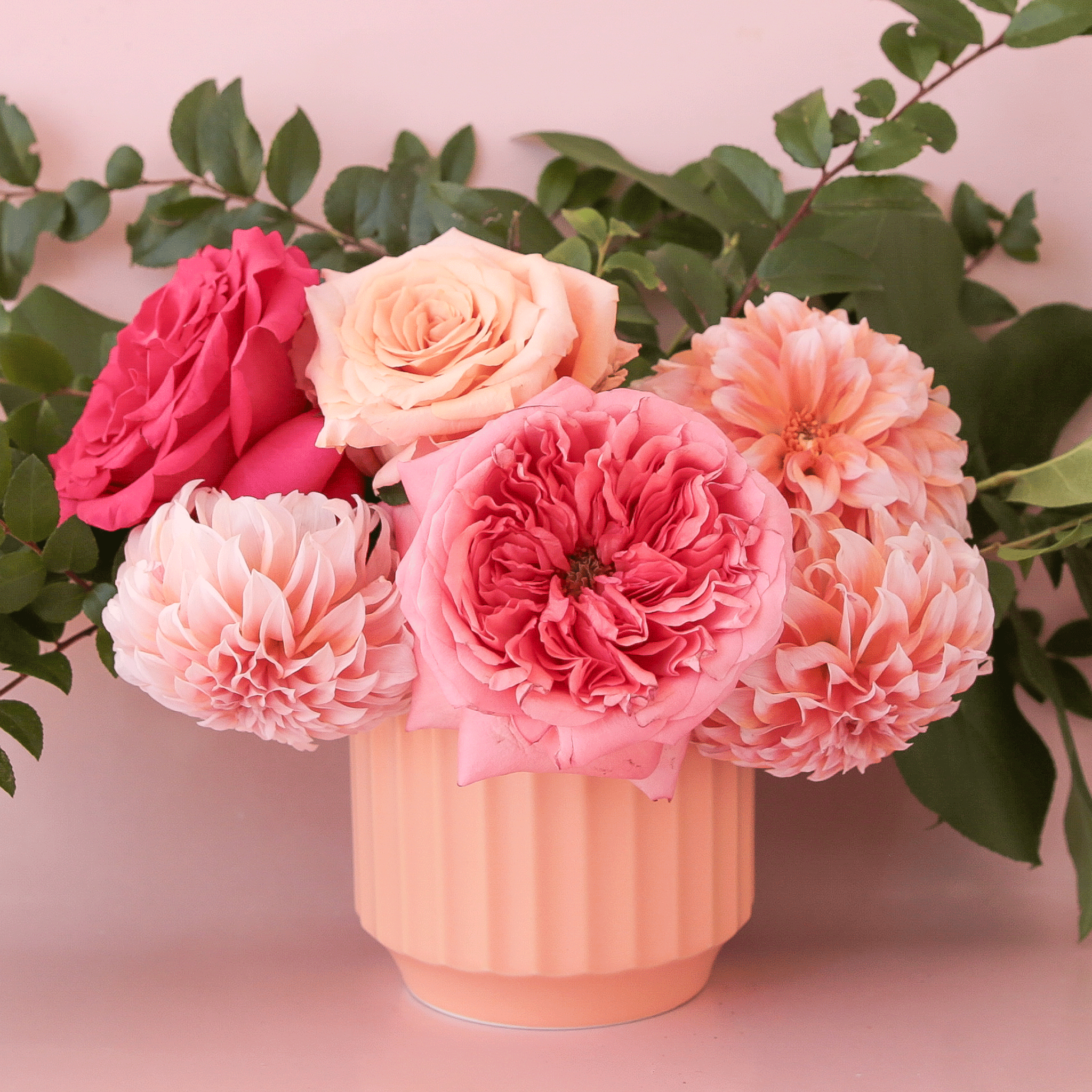 pink pot planter Monroe Planter