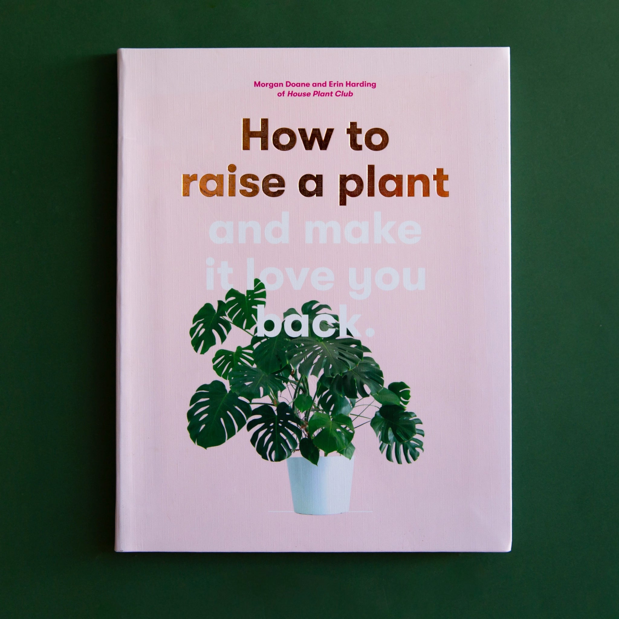 How to Raise Monstera: Expert Tips for Thriving Plants