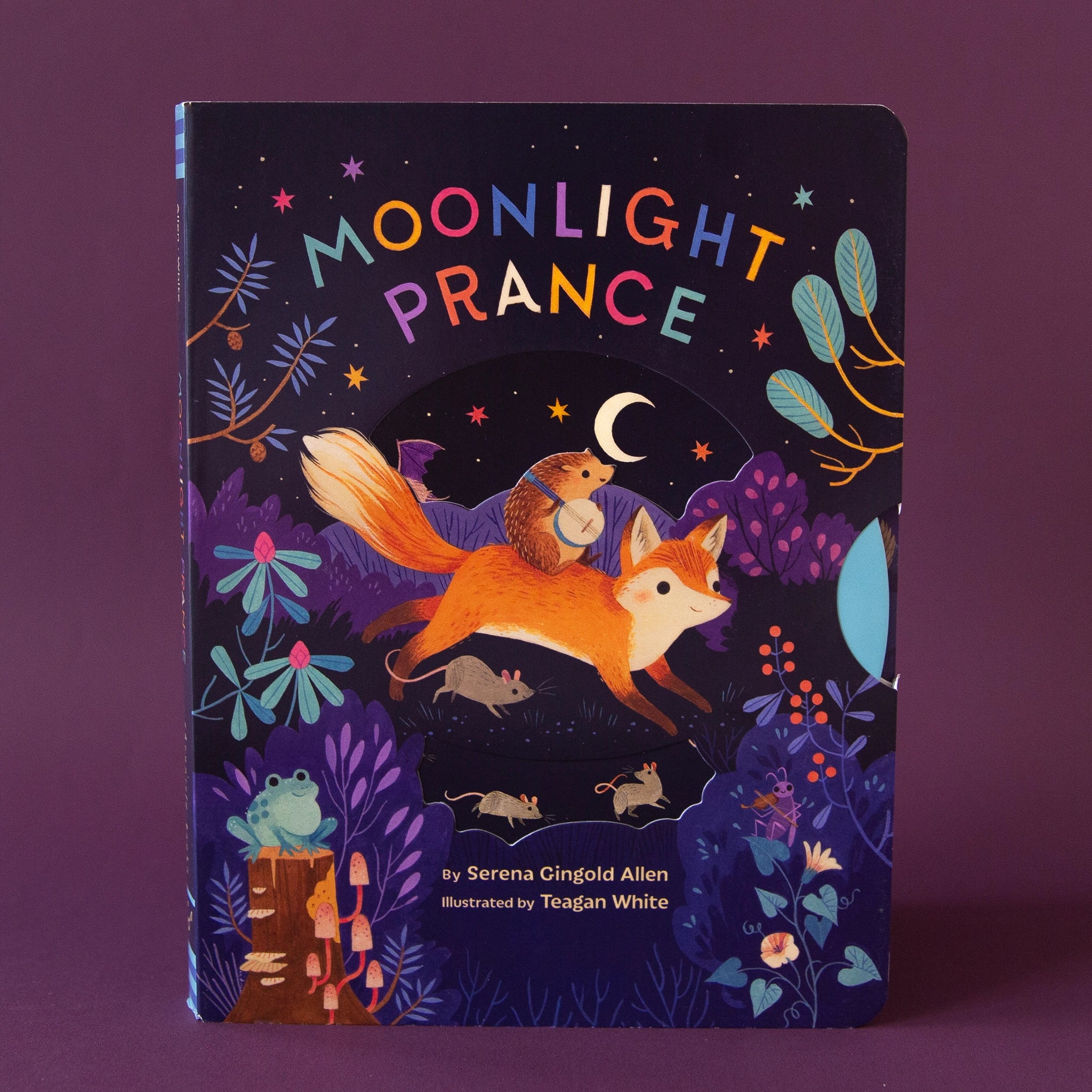 Hard cover children's book titles 'Moonlight Prance' in colorful capital lettering. Below is a woodland scene of various animals dancing around in the moonlight. Animals include a smiling fox, banjo playing hedgehog, mice and more. The background of the cover is solid black and accented with colorful star detailing.