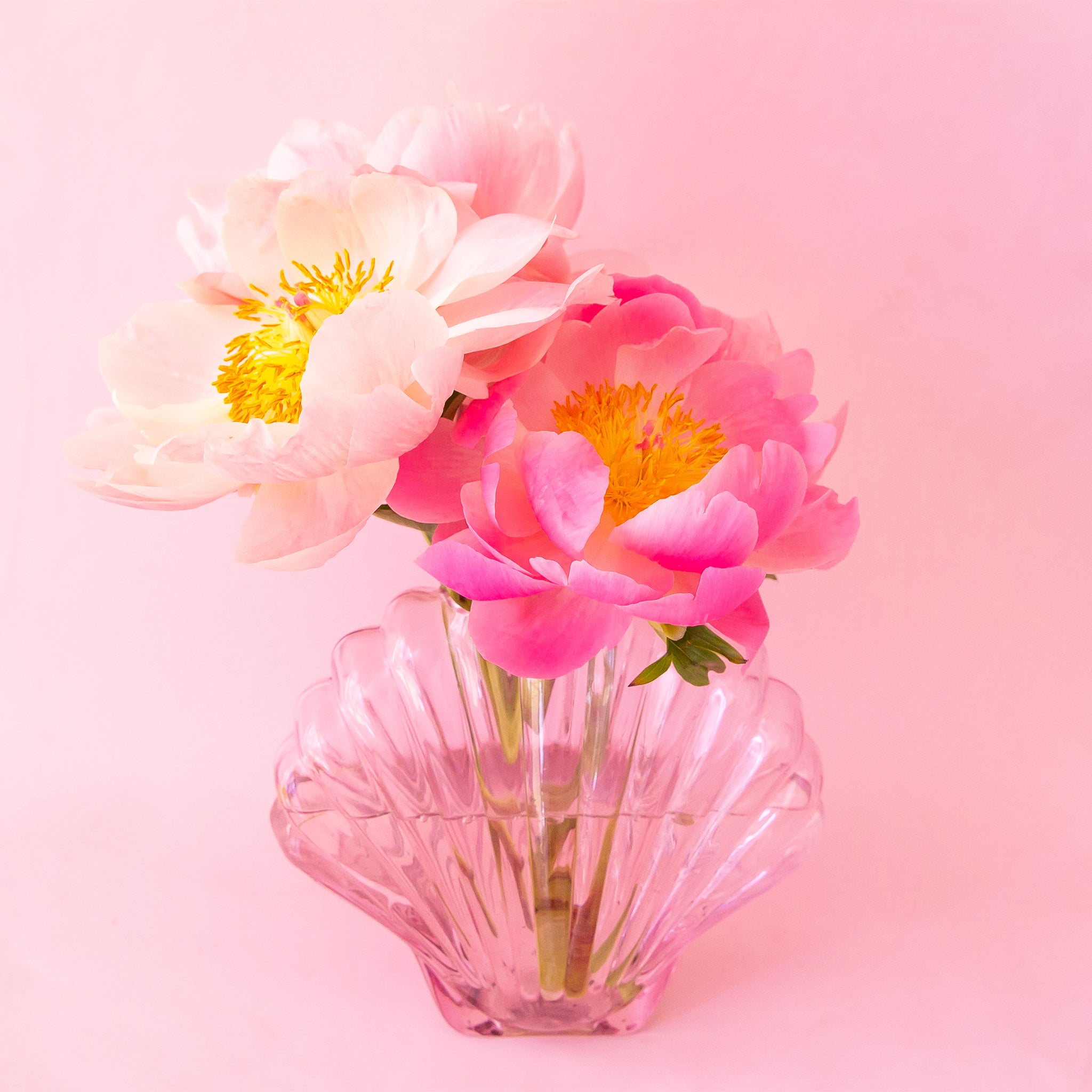 A light pink sea shell shaped vase filled with florals. 