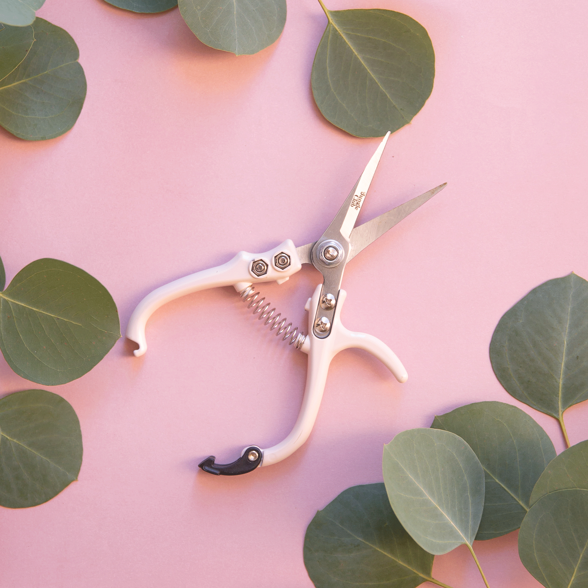On a pink background surrounded by eucalyptus leaves is a light tan pair of pruning shears with a hook detailing for keeping closed and small text on the mental shear that reads, &quot;Jungle Club&quot;. 