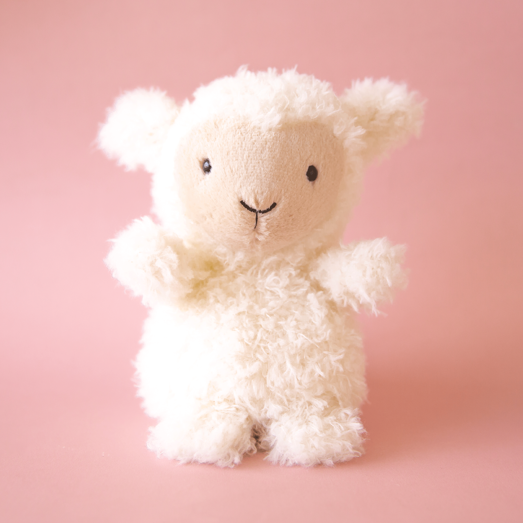 Little Lamb – Pigment - Main Image