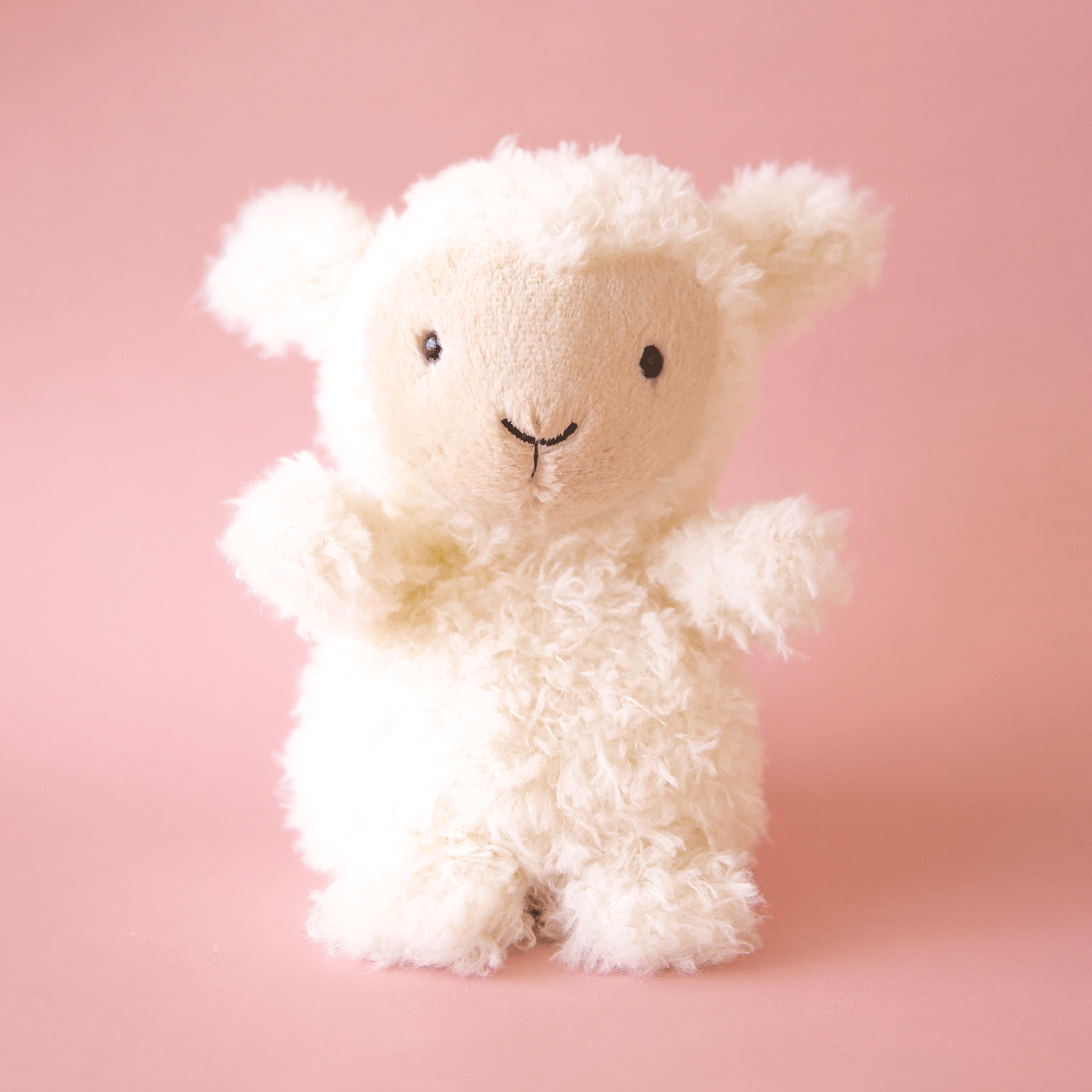 CY1A9710_little-lamb_1200x1200 