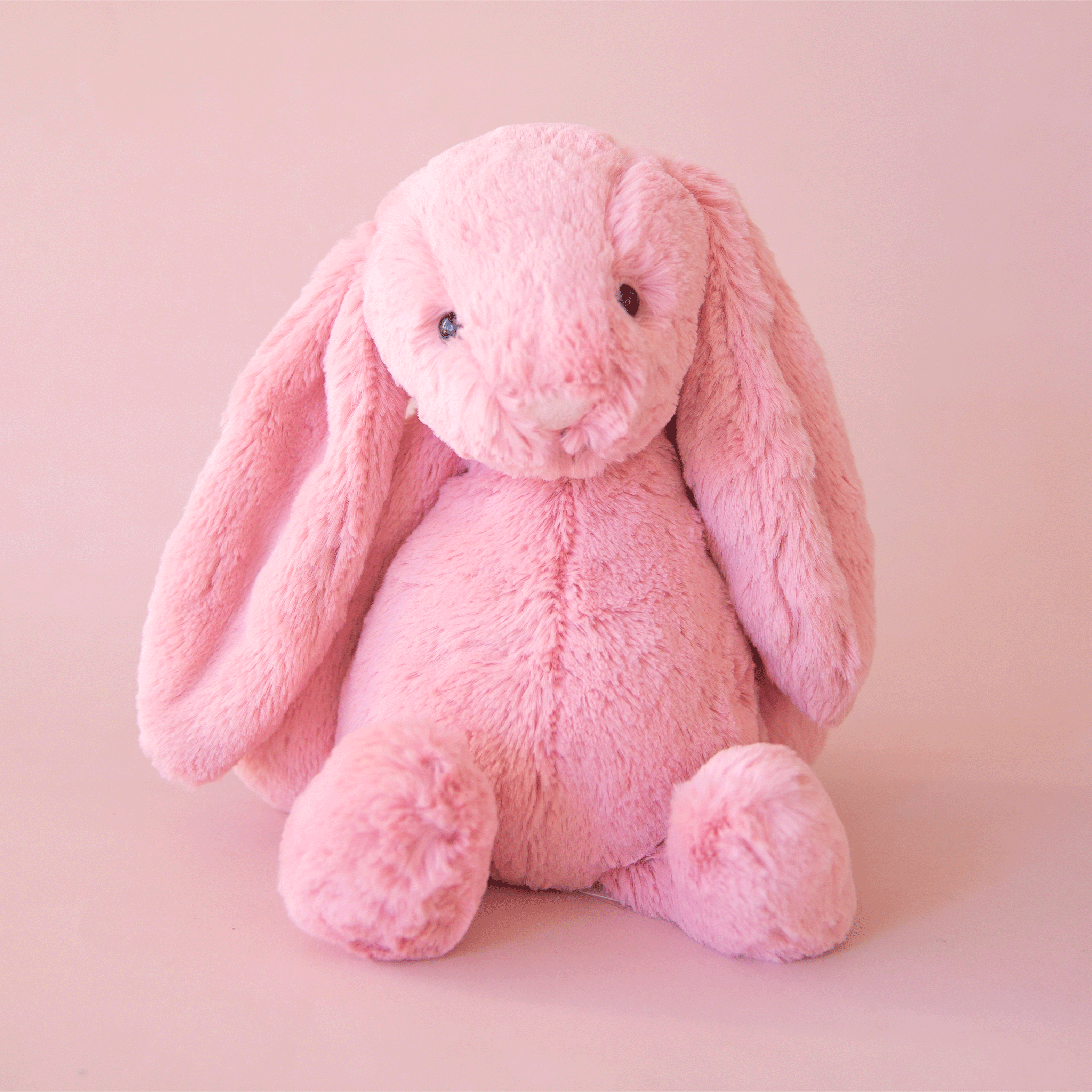 Black jellycat bunny sales
