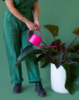 A hot pink metal watering can with a rounded handle and a long spout.