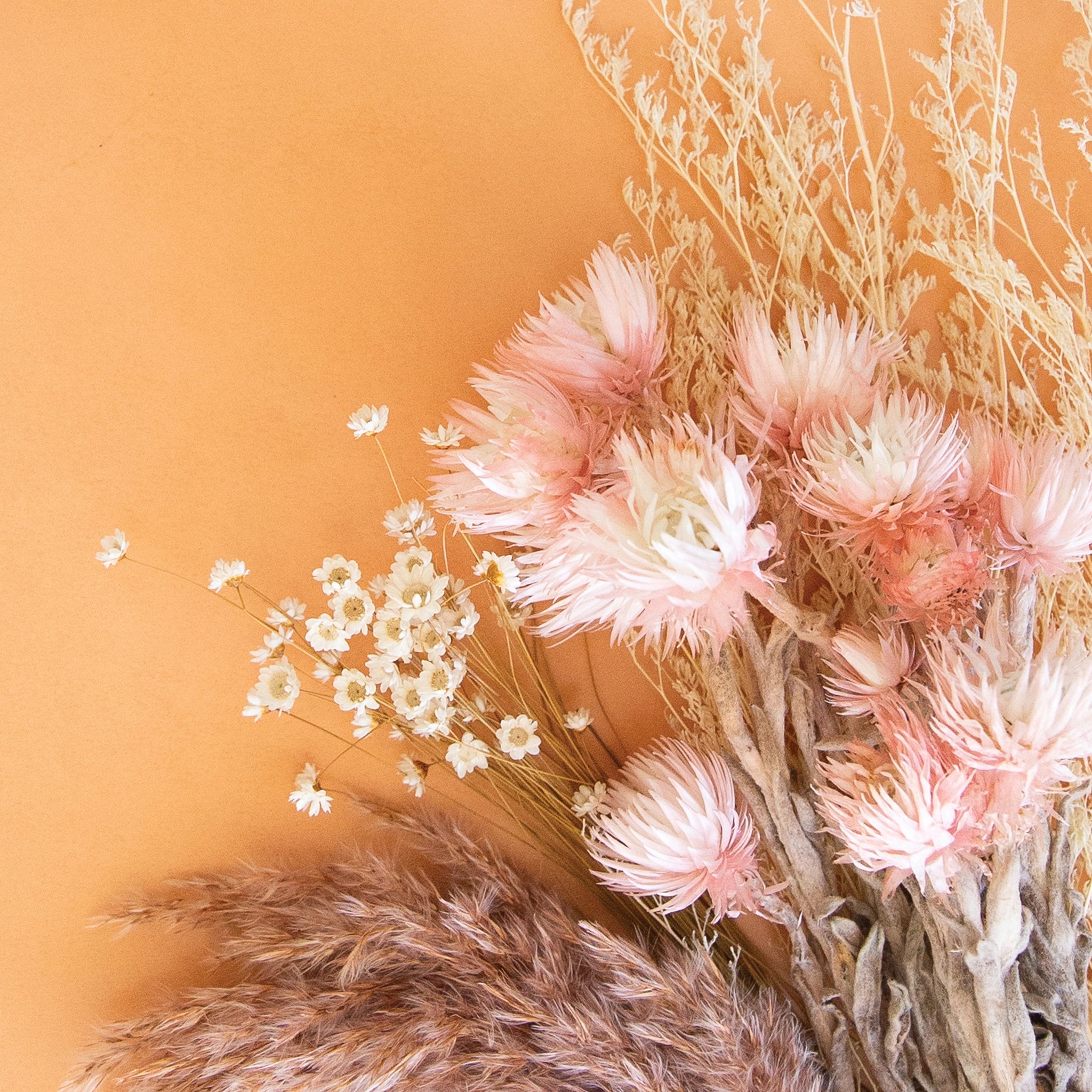 On an orange background is an assortment of dried florals. 