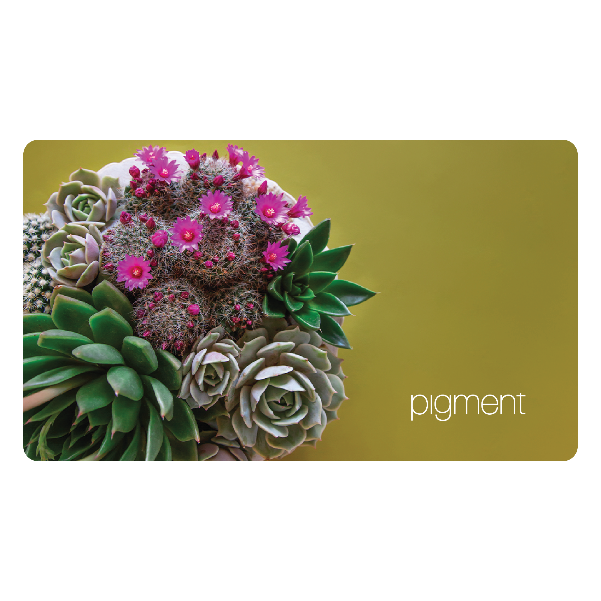 succulent gift card Chartreuse Gift Card (Physical) – Pigment