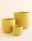On an ivory background is three different sized ceramic planters in chartreuse shade with a slight speckle detail and a tapered base.