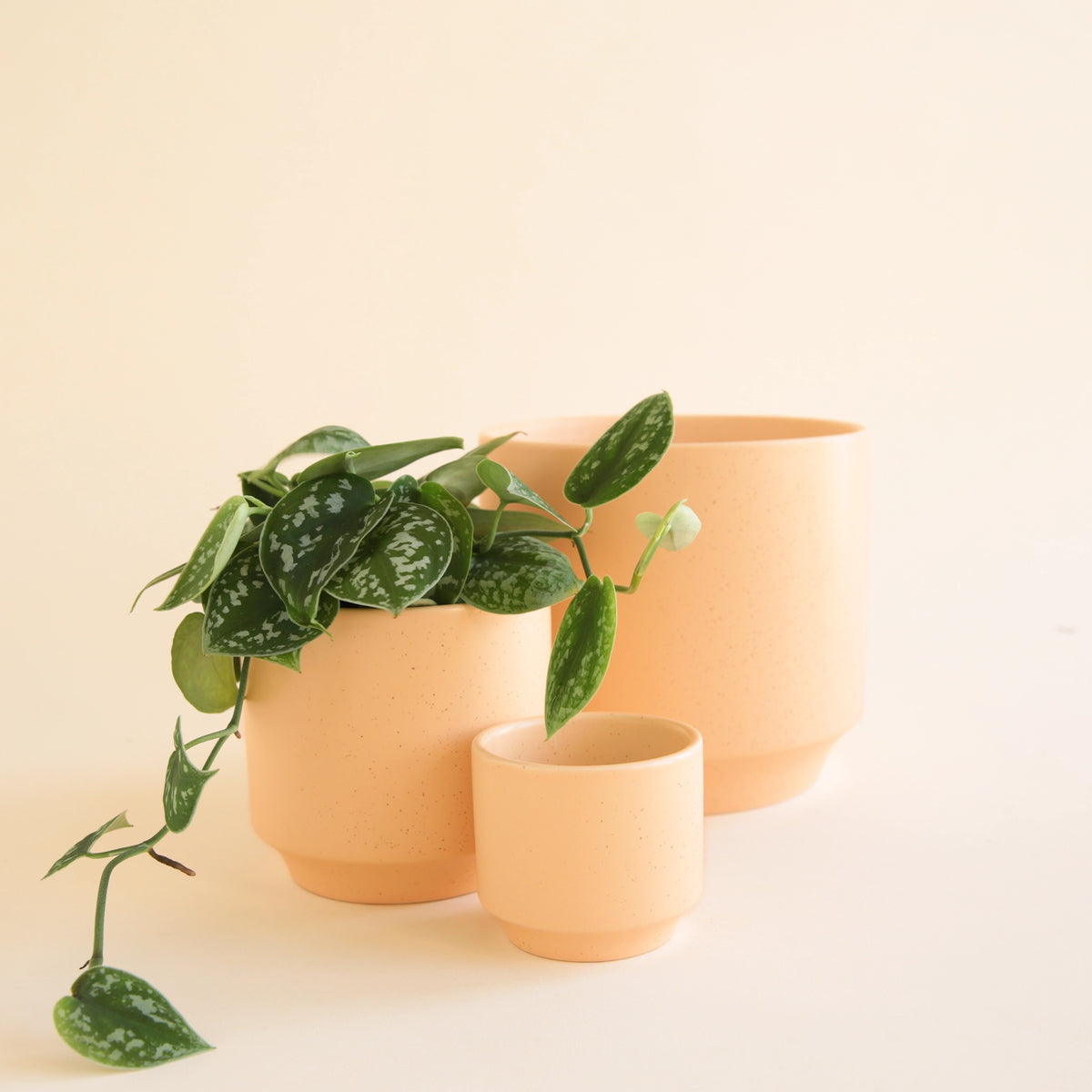 花瓶・フラワースタンド Echo Park Pottery Planter Echo Park Pottery