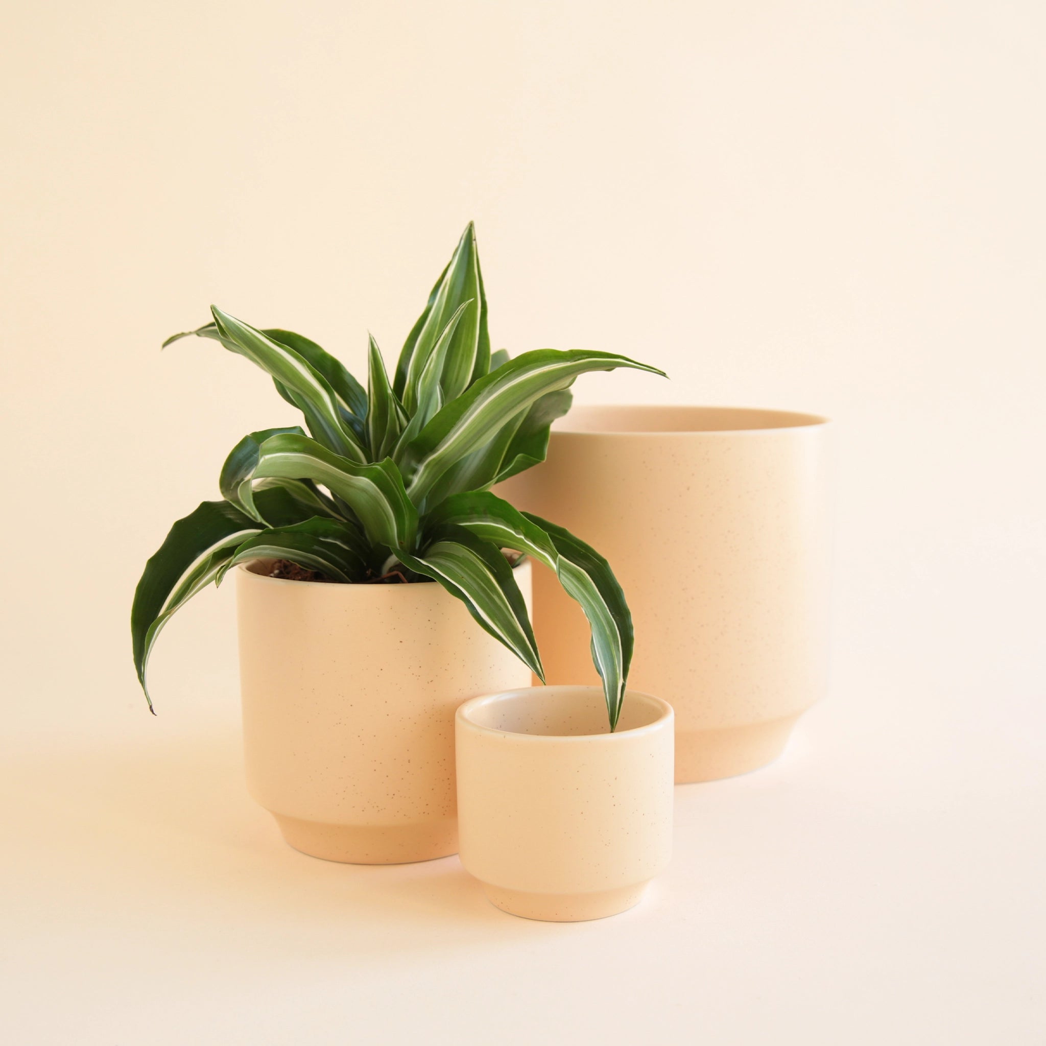 ivory plant pots Parker Planter | Vanilla In Neutral