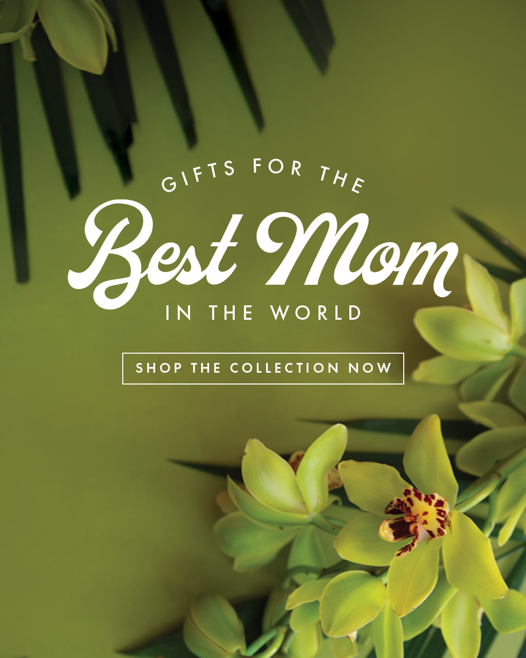 gifts for the best mom in the world. shop the collection now. 