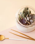 A glass terrarium with a flat bottom, and a circle opening at the front and filled here with a succulent arrangement.