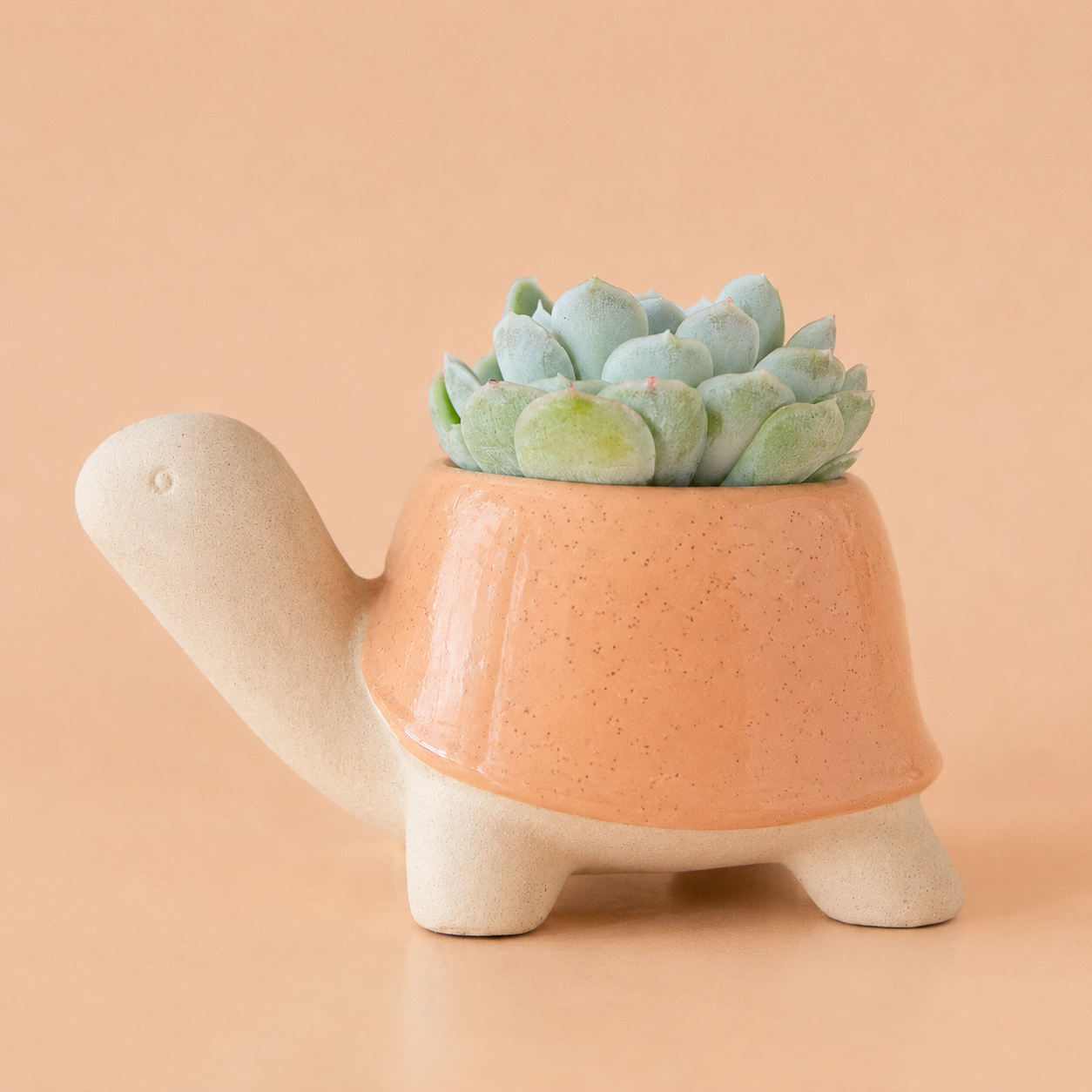 miniature ceramic plant pots Turtle Planter