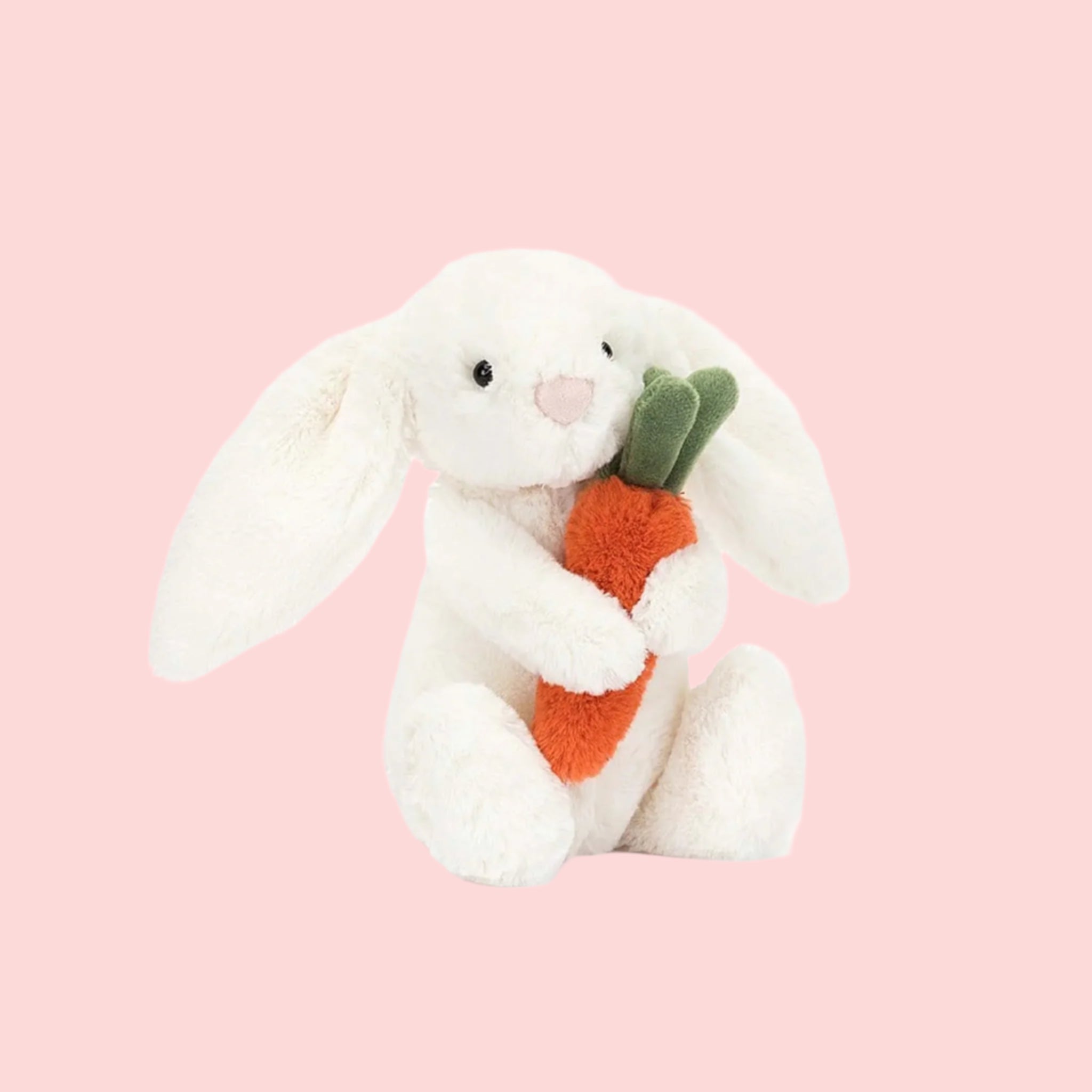 Bashful Carrot Bunny Little – Pigment