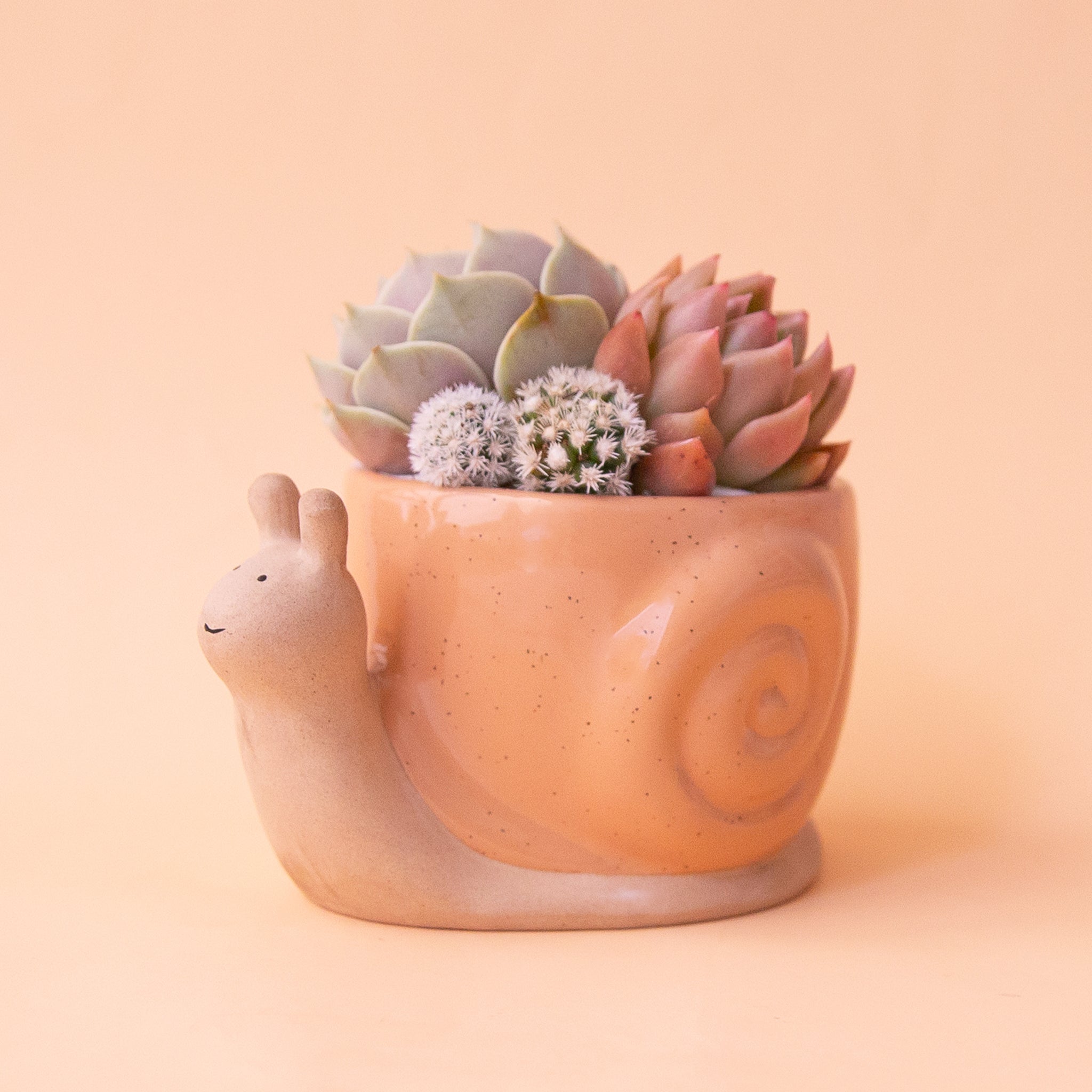cute plant pot Snail Planter