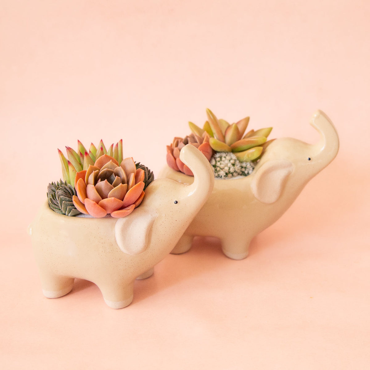 Elephant Planter