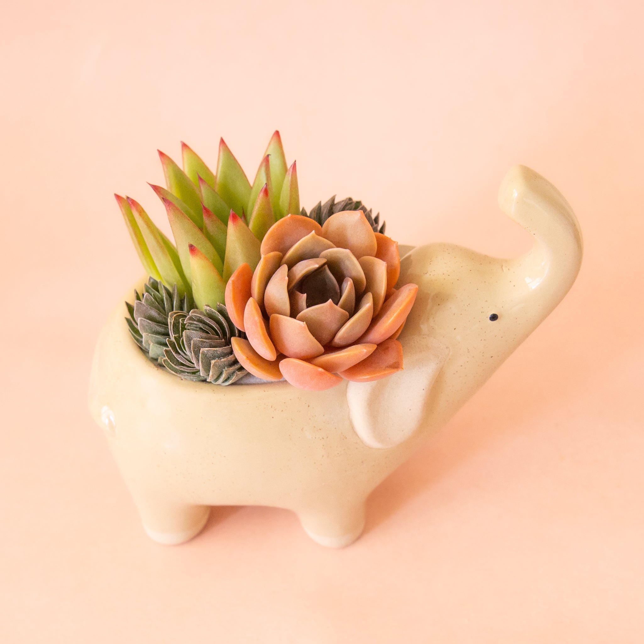 Elephant Planter