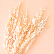 Whispy dried eucalyptus in an off white color is shown against a warm beige background.