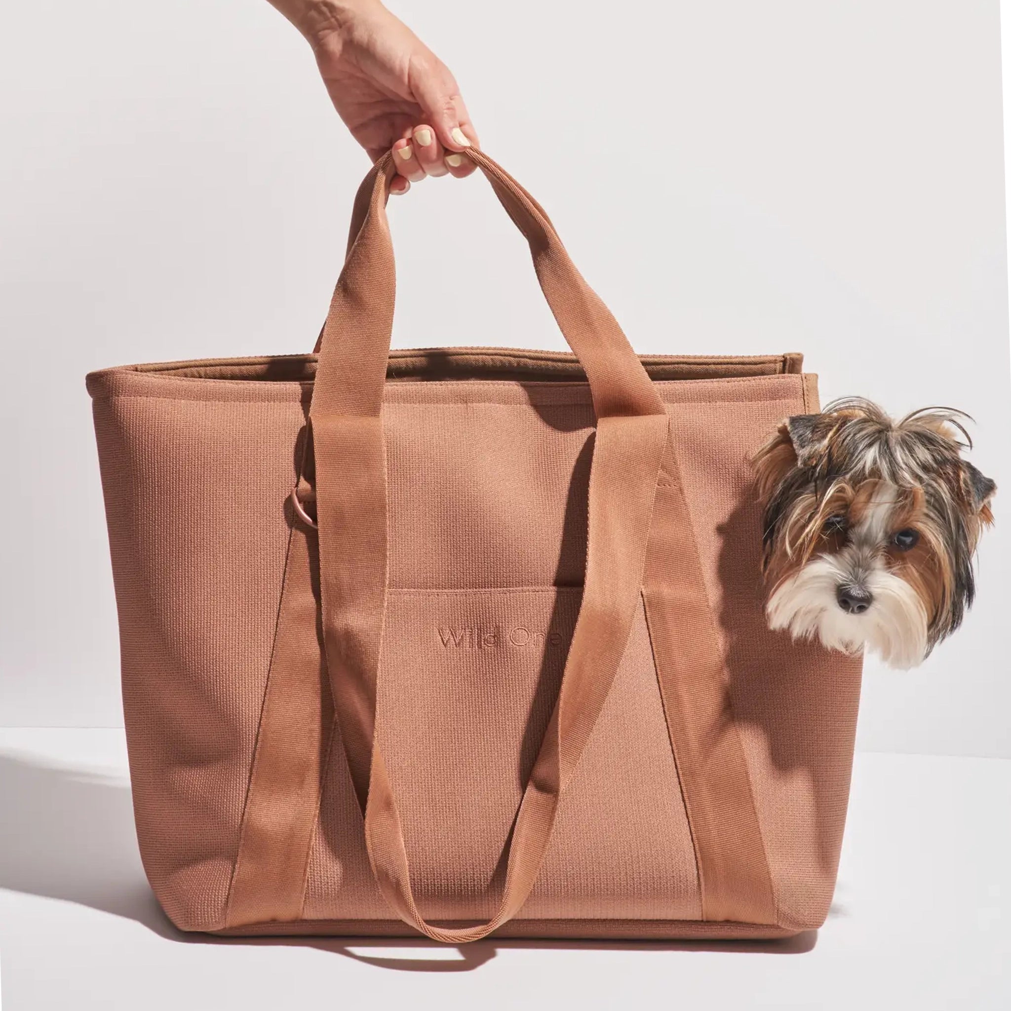 On a white background is a brownish/tan pet carrier tote with a spot for the pet's head to poke out and two straps. 