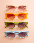 All the colorways of the Frenchie sunglasses lined up in a photo.