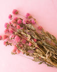 A bundle of pink round dried florals.