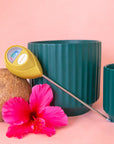 A chartreuse moisture meter with a rounded head and a white meter that ranges from dry, moist, or wet along with a small oval label in the front that reads, "Jungle Club".