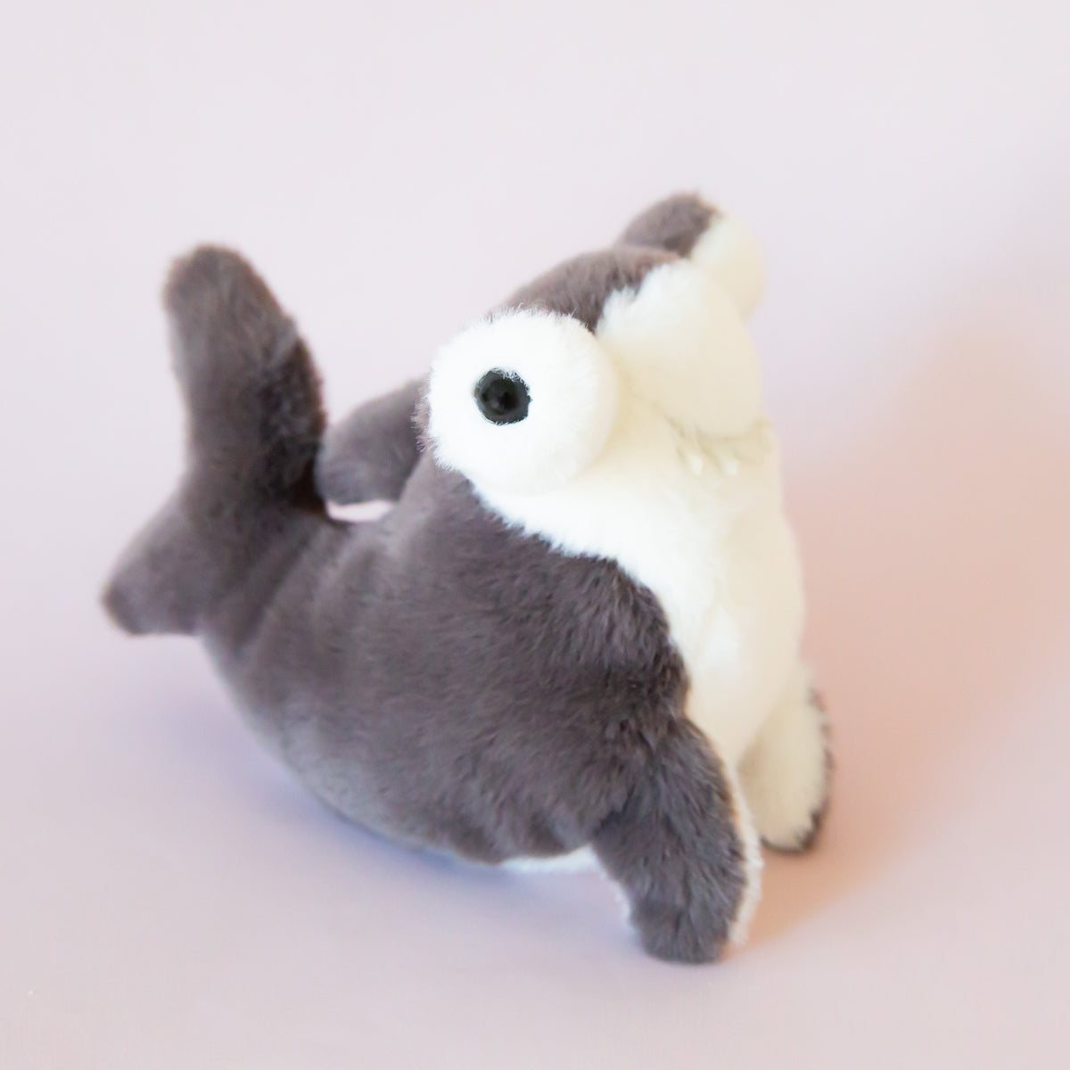 Lil' Baby Hammerhead Shark – Pigment