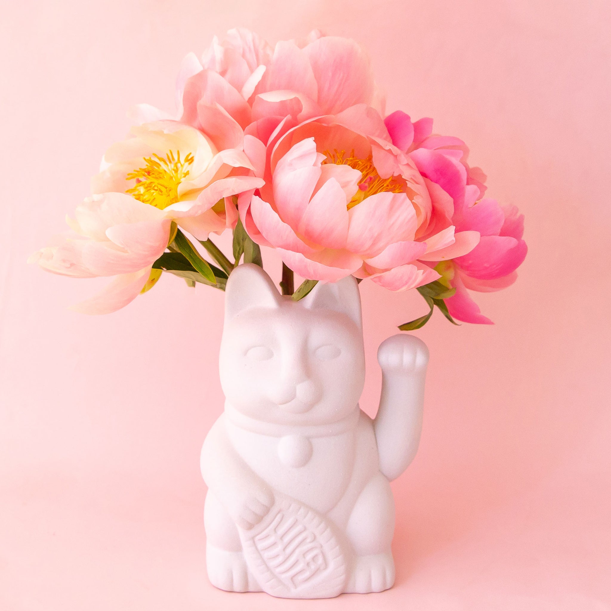 A ceramic lucky cat vase in white with its paw up in the waving position staged here with natural florals.