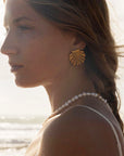 A gold seashell shaped pair of stud earrings.