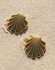 A gold seashell shaped pair of stud earrings.