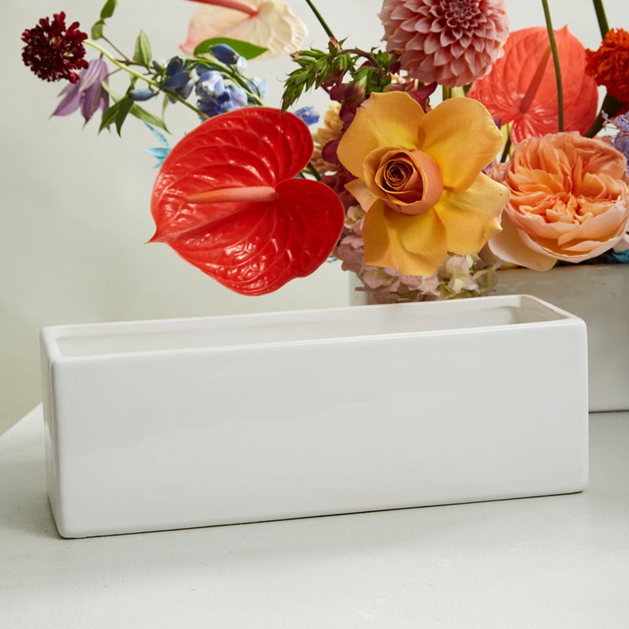 rectangular ceramic plant pots Ceramic Ledge Planter – Pigment