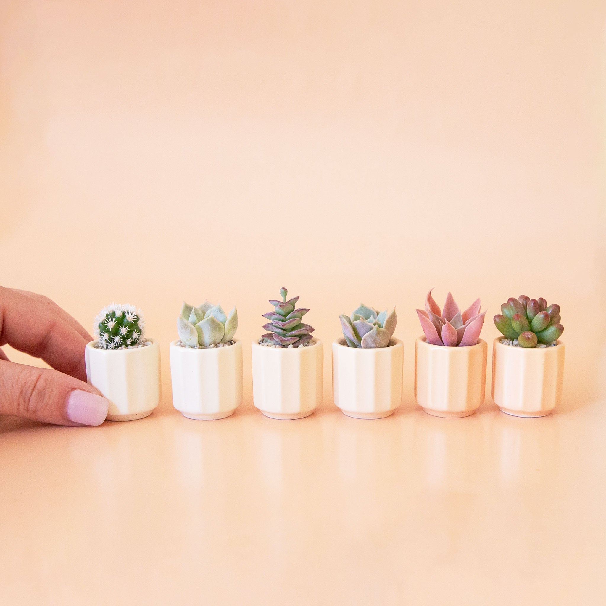 miniature pots for plants Monroe Mini Planter
